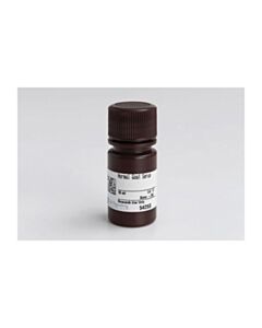 Cell Signaling Normal Goat Serum
