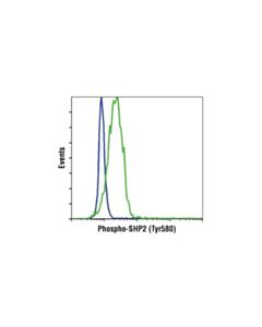 Cell Signaling Phospho-Shp-2 (Tyr580) (D66f10) Rabbit mAb