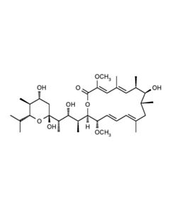 Cell Signaling Bafilomycin A1