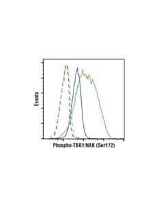 Cell Signaling Phospho-Tbk1/Nak (Ser172) (D52c2) Xp Rabbit mAb