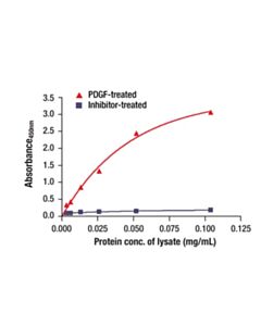 Cell Signaling Phospho-S6 Ribosomal Protein (Ser235/236) Matched Antibody Pair