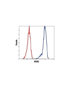 Cell Signaling Rsk2 (D21b2) Xp<LT/>Sup&Gt;®<LT/>/Sup&Gt; Rabbit mAb