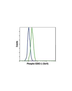 Cell Signaling Phospho-Gsk-3beta (Ser9) (D85e12) Xp Rabbit mAb