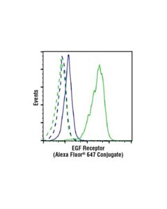 Cell Signaling Egf Receptor (D38b1) Xp Rabbit mAb (Alexa Fluor 647 Conjugate)