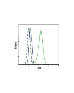 Cell Signaling Btk (D6t2c) Mouse mAb