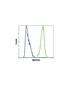 Cell Signaling Marcks (D88d11) Xp Rabbit mAb