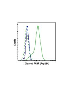 Cell Signaling Cleaved Parp (Asp214) (D64e10) Xp Rabbit mAb