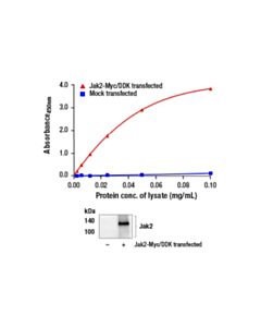 Cell Signaling Fastscan Total Jak2 Elisa Kit
