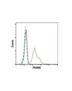Cell Signaling Prame (E7i1b) Rabbit mAb