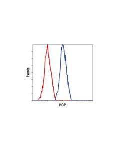 Cell Signaling Hop (D10e2) Xp Rabbit mAb