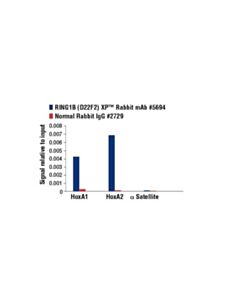 Cell Signaling Ring1b (D22f2) Xp Rabbit mAb