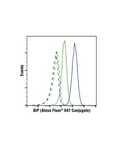 Cell Signaling Bip (C50b12) Rabbit mAb (Alexa Fluor 647 Conjugate)