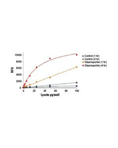 Cell Signaling Caspase-3 Activity Assay Kit
