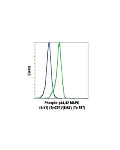 Cell Signaling Phospho-P44/42 Mapk (Erk1) (Tyr204)/(Erk2) (Tyr187) (D1h6g) Mouse mAb