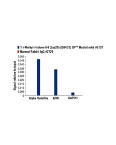 Cell Signaling Tri-Methyl-Histone H4 (Lys20) (D84d2) Rabbit mAb
