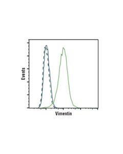 Cell Signaling Vimentin (D21h3) Xp Rabbit mAb