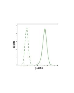 Cell Signaling Beta-Actin (E4d9z) Mouse mAb