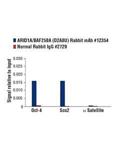 Cell Signaling Baf Complex Antibody Sampler Kit Ii