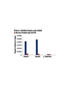 Cell Signaling Bmi1 (D42b3) Rabbit mAb