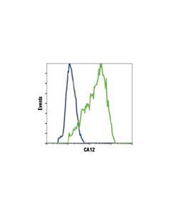 Cell Signaling Ca12 (D75c6) Xp Rabbit mAb