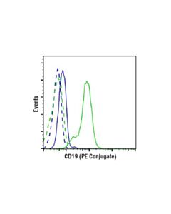 Cell Signaling Cd19 (Intracellular Domain) (D4v4b) Xp Rabbit mAb (Pe Conjugate)