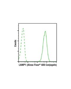 Cell Signaling Lamp1 (D2d11) Xp Rabbit mAb (Alexa Fluor 488 Conjugate)