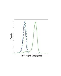 Cell Signaling Hif-1alpha (D1s7w) Xp Rabbit mAb (Pe Conjugate)