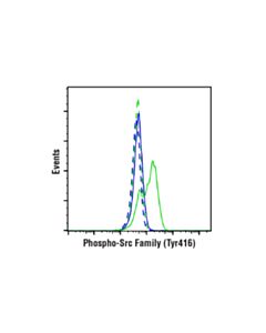 Cell Signaling Phospho-Src Family (Tyr416) (E6g4r) Rabbit mAb