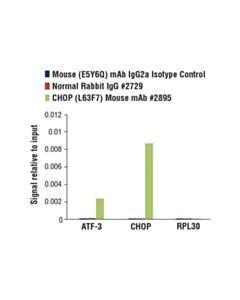 Cell Signaling Mouse (E5y6q) mAb Igg2a Isotype Control