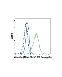 Cell Signaling Vimentin (D21h3) Xp ® Rabbit mAb (Alexa Fluor ® 350 Conjugate)