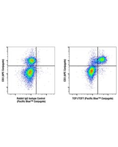 Cell Signaling Tcf1/Tcf7 (E6o1k) Rabbit mAb (Pacific Blue ™ Conjugate)