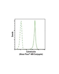 Cell Signaling Calreticulin (D3e6) Xp Rabbit mAb (Alexa Fluor 488 Conjugate)