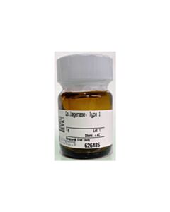 Cell Signaling Collagenase, Type 1