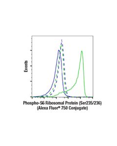 Cell Signaling Phospho-S6 Ribosomal Protein (Ser235/236) (D57.2.2e) Xp® Rabbit mAb (Alexa Fluor® 750 Conjugate)