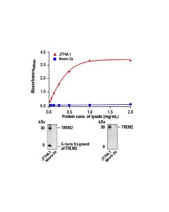 Cell Signaling Fastscan Trem2 (Extracellular Amino-Terminal Antigen) Elisa Kit