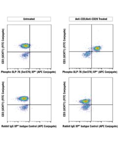 Cell Signaling Phospho-Slp-76 (Ser376) (E3g9u) Xp Rabbit mAb (Apc Conjugate)