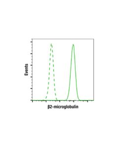 Cell Signaling Beta2-Microglobulin (E8g2o) Rabbit mAb