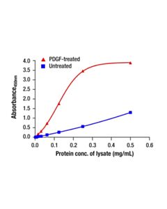 Cell Signaling Phospho-Creb (Ser133) Matched Antibody Pair