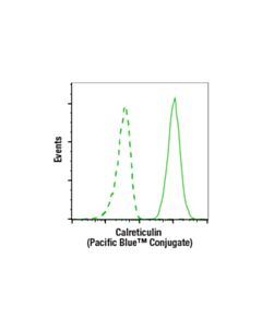 Cell Signaling Calreticulin (D3e6) Xp Rabbit mAb (Pacific Blue™ Conjugate)