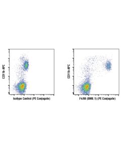 Cell Signaling F4/80 (Bm8.1) Rat mAb (PE Conjugate)