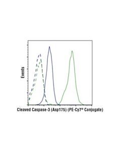 Cell Signaling Cleaved Caspase-3 (Asp175) (D3e9) Rabbit mAb (PE-Cy7<LT/>Sup&Gt;®<LT/>/Sup&Gt; Conjugate)