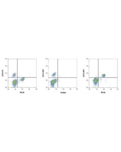 Cell Signaling Vista (D1l2g) Xp Rabbit mAb