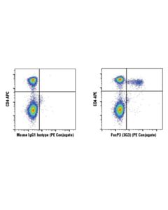 Cell Signaling Foxp3 (3g3) Mouse mAb (PE Conjugate)