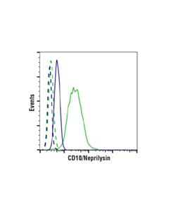 Cell Signaling Cd10/Neprilysin (E5p7s) Rabbit mAb