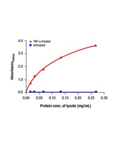 Cell Signaling Phospho-NF-kappaB p65 (Ser536) Matched Antibody Pair 1 Kit