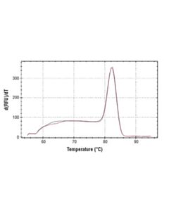 Cell Signaling Simplechip Human Atf-3 Exon 1 Primers