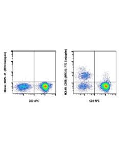 Cell Signaling Ncam1 (Cd56) (My31) Mouse mAb (Fitc Conjugate)