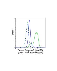 Cell Signaling Cleaved Caspase-3 (Asp175) (5a1e) Rabbit mAb (Alexa Fluor ® 488 Conjugate)