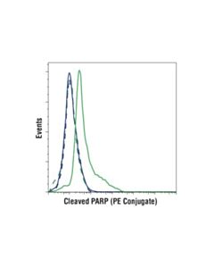Cell Signaling Cleaved Parp (Asp214) (D6x6x) Rabbit mAb (Rodent Specific) (PE Conjugate)