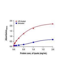 Cell Signaling Phospho-IKKalpha (Ser176/180) Matched Antibody Pair 1 Kit